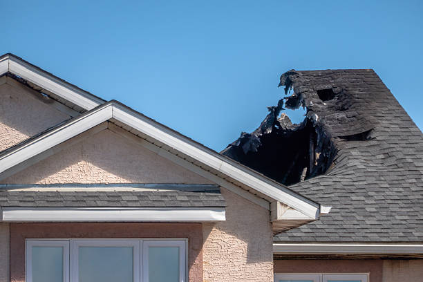 Top rated local Fire Damage Removal specialists in Bristol, VA